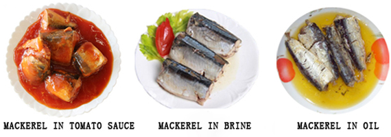 Mackerel canned fish