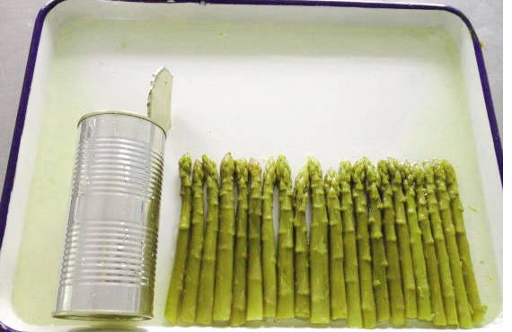 tinned asparagus