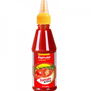 OEM Factory Supplier Tomato Ketchup 500g - HangFat