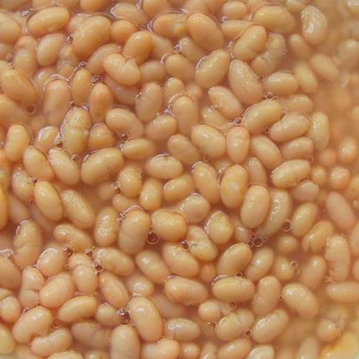 Canned white beans
